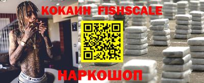 спайс Кингисепп