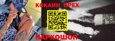 спайс Кингисепп