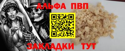 спайс Кингисепп