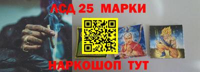 спайс Кингисепп