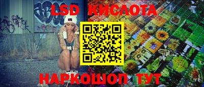 спайс Кингисепп