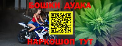гидра Кинель