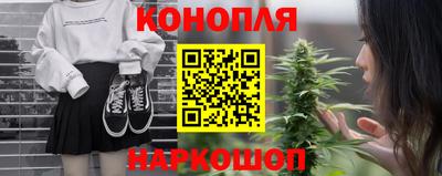 спайс Кингисепп