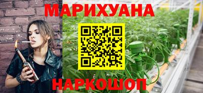 спайс Кингисепп