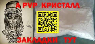 спайс Кингисепп