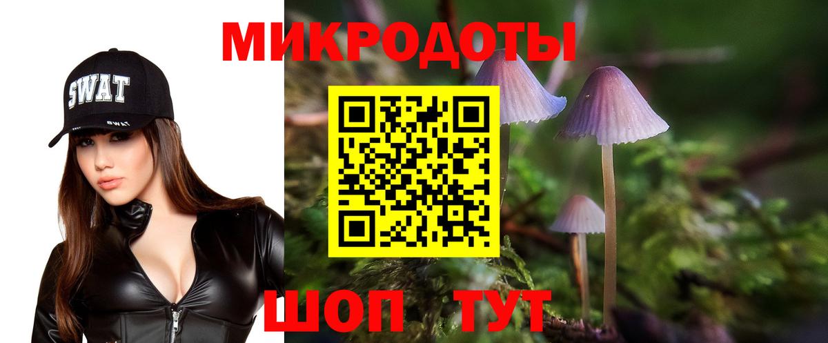 Кемерово  где продают   Вход с VPN  Галлюциногенные грибы Psilocybine cubensis 